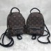Louis Vuitton Palm Springs PM 